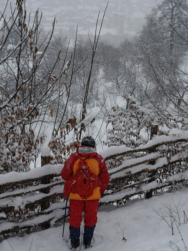 Foto in plina iarna (c) Lucian Petru Goja